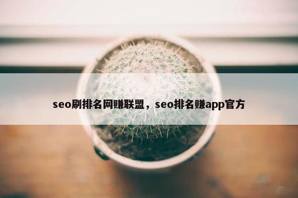 seo刷排名网赚联盟,seo排名赚app官方