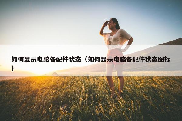 如何显示电脑各配件状态（如何显示电脑各配件状态图标）