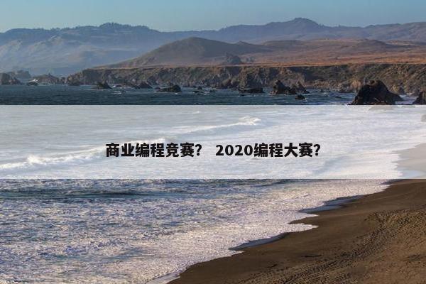 商业编程竞赛? 2020编程大赛?