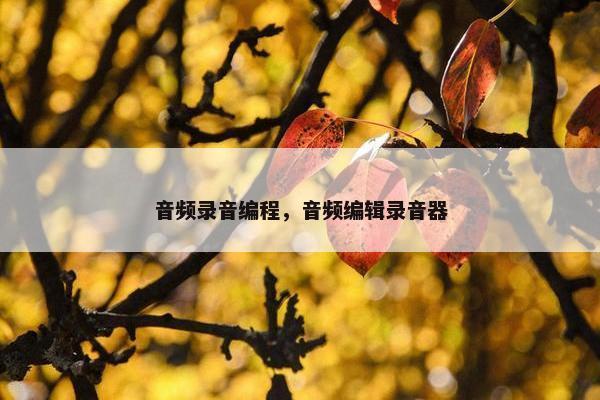 音频录音编程，音频编辑录音器