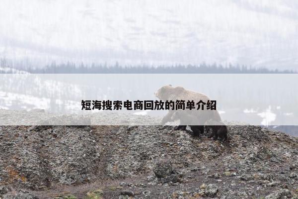 短海搜索电商回放的简单介绍
