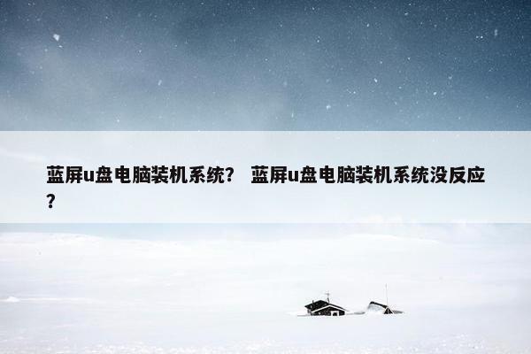 蓝屏u盘电脑装机系统？ 蓝屏u盘电脑装机系统没反应？