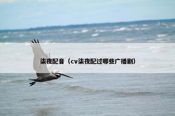 柒夜配音（cv柒夜配过哪些广播剧）