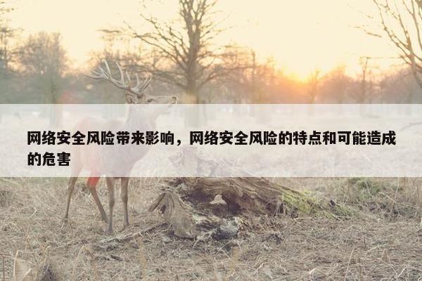 网络安全风险带来影响,网络安全风险的特点和可能造成的危害 网络安全风险带来影响,网络安全风险的特点和可能造成的危害