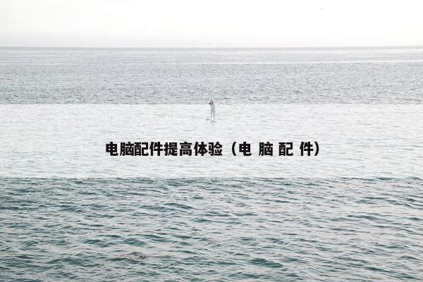 电脑配件提高体验（电 脑 配 件）