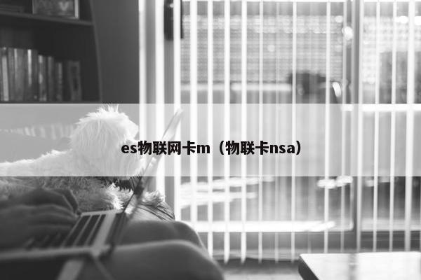 es物联网卡m（物联卡nsa）