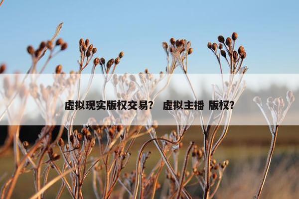 虚拟现实版权交易？ 虚拟主播 版权？
