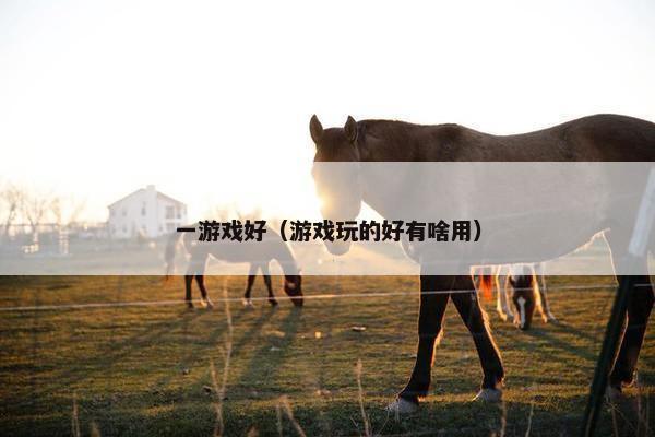 一游戏好（游戏玩的好有啥用）