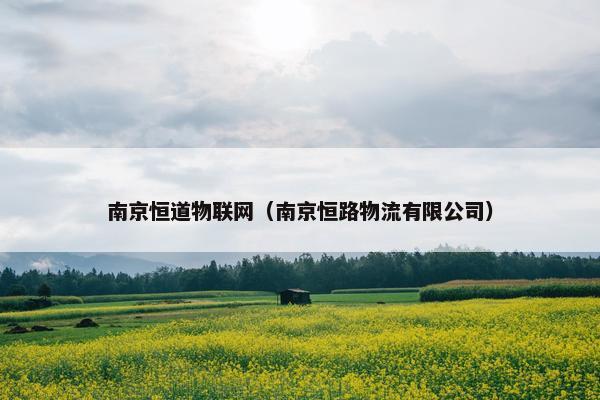 南京恒道物联网（南京恒路物流有限公司）