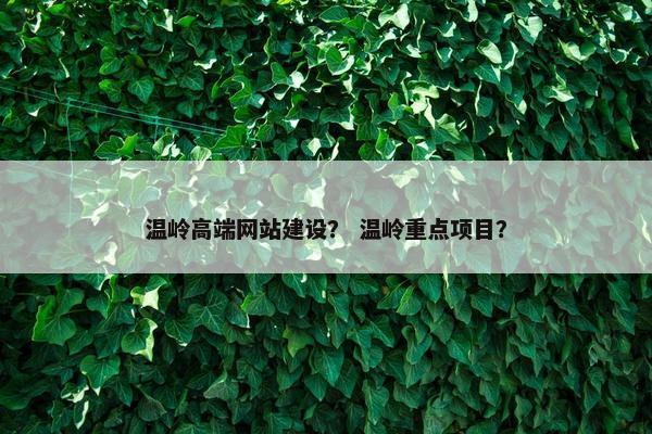 温岭高端网站建设？ 温岭重点项目？