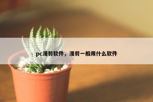 pc漫剪软件，漫剪一般用什么软件