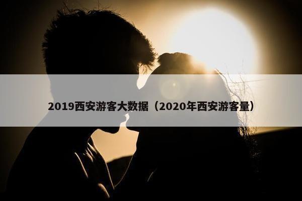 2019西安游客大数据（2020年西安游客量）