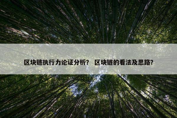 区块链执行力论证分析? 区块链的看法及思路?