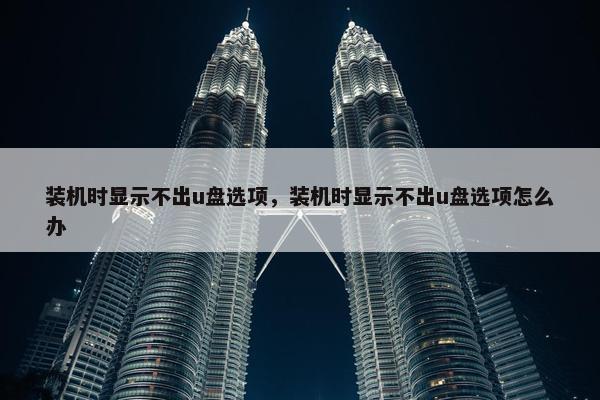 装机时显示不出u盘选项，装机时显示不出u盘选项怎么办