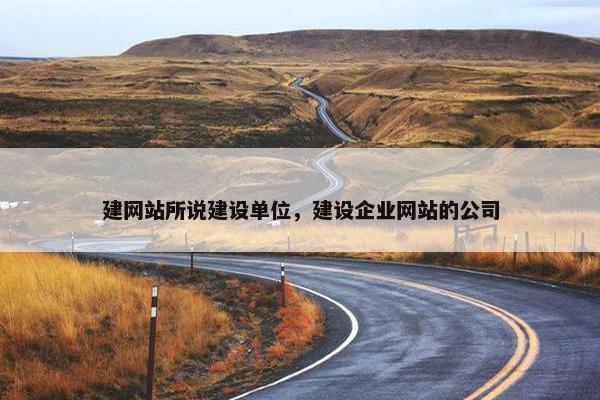 建网站所说建设单位，建设企业网站的公司