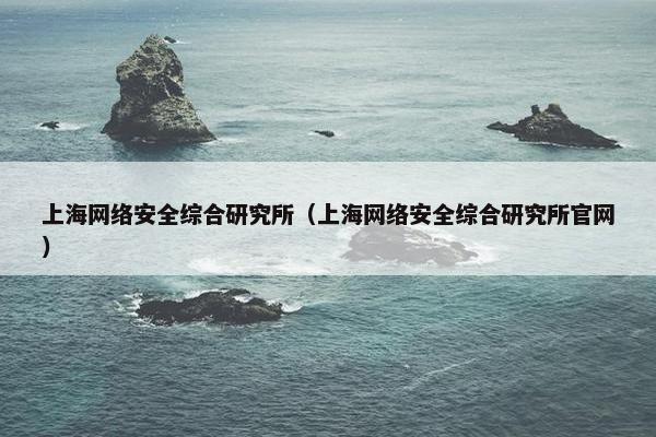 上海网络安全综合研究所（上海网络安全综合研究所官网）