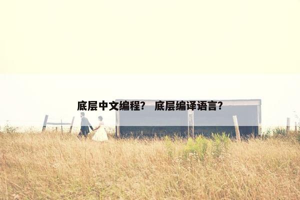 底层中文编程？ 底层编译语言？