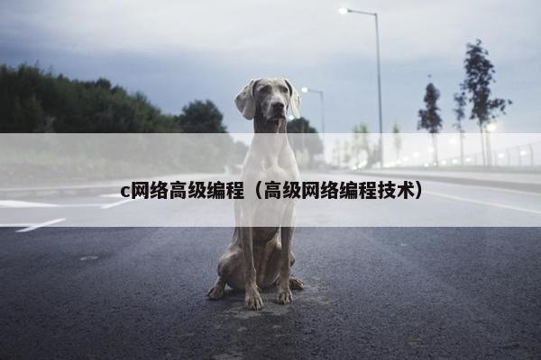 c网络高级编程（高级网络编程技术）