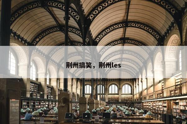 荆州搞笑，荆州les