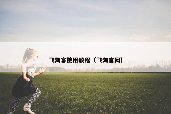 飞淘客使用教程（飞淘官网）