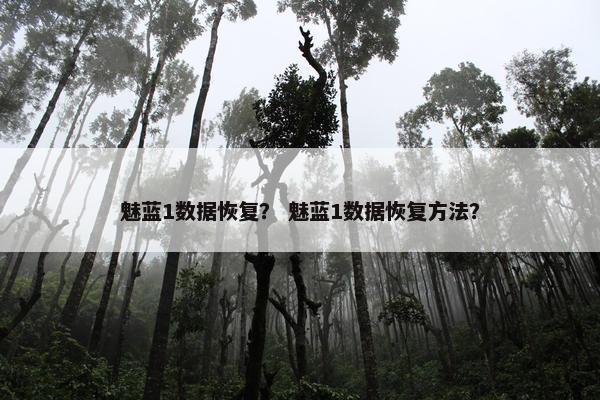 魅蓝1数据恢复? 魅蓝1数据恢复方法?