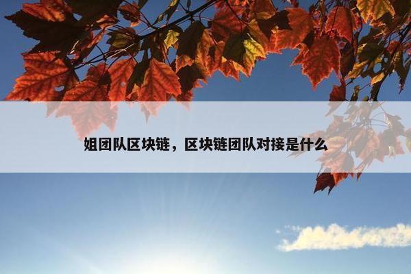 姐团队区块链，区块链团队对接是什么
