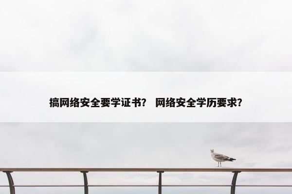 搞网络安全要学证书？ 网络安全学历要求？