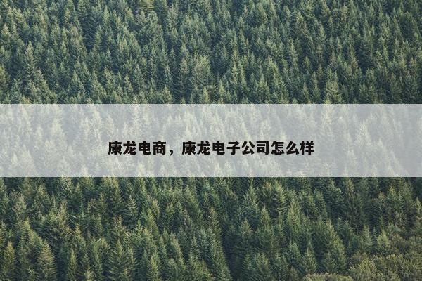 康龙电商，康龙电子公司怎么样
