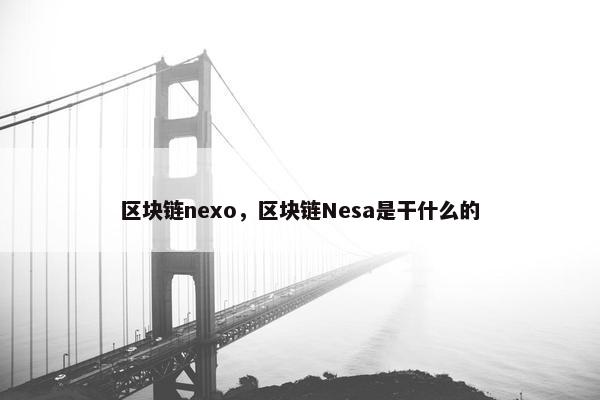 区块链nexo，区块链Nesa是干什么的