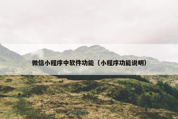 微信小程序中软件功能（小程序功能说明）