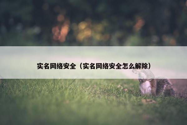 实名网络安全（实名网络安全怎么解除）