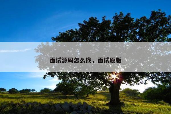 面试源码怎么找，面试原版