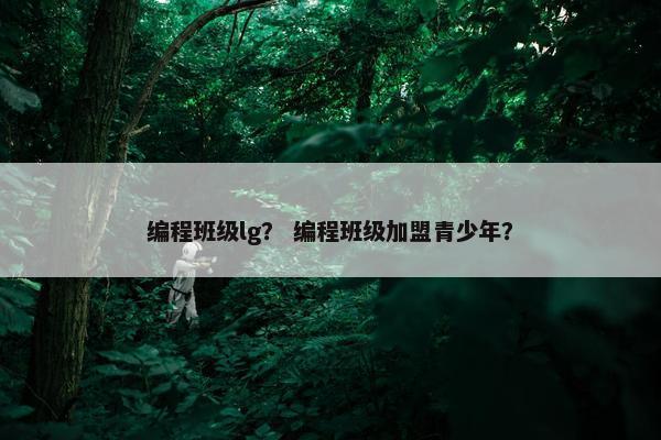 编程班级lg？ 编程班级加盟青少年？