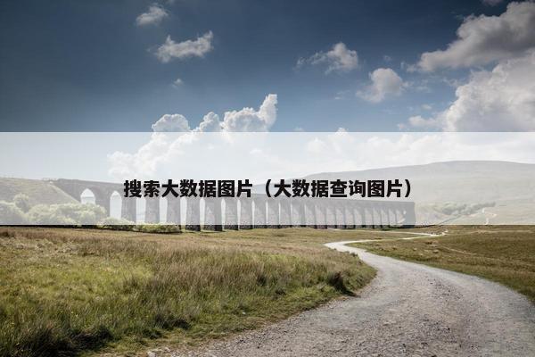 搜索大数据图片（大数据查询图片）