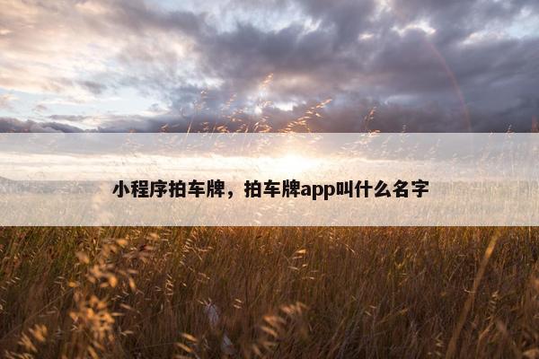 小程序拍车牌，拍车牌app叫什么名字