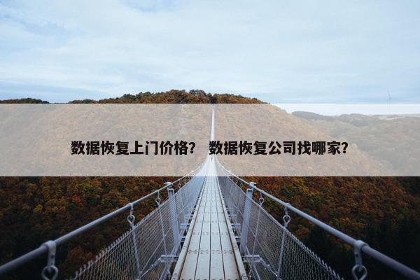 数据恢复上门价格？ 数据恢复公司找哪家？