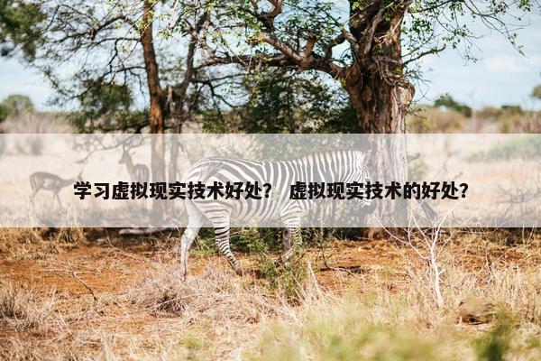 学习虚拟现实技术好处? 虚拟现实技术的好处?