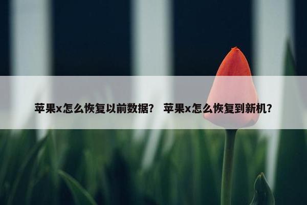 苹果x怎么恢复以前数据？ 苹果x怎么恢复到新机？