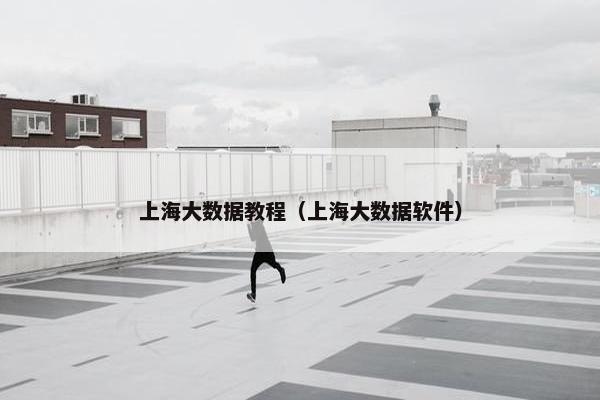 上海大数据教程（上海大数据软件）
