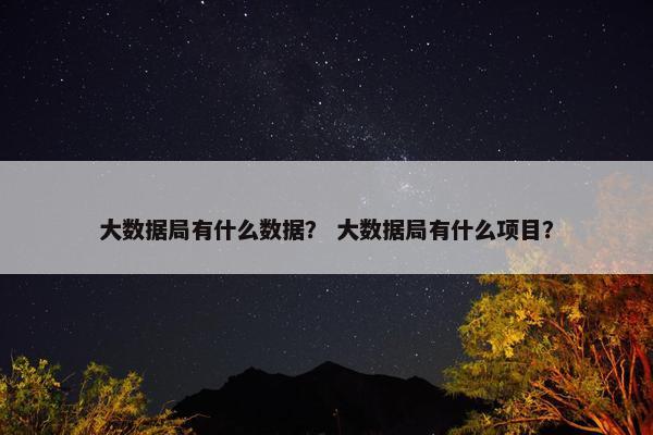 大数据局有什么数据？ 大数据局有什么项目？