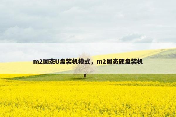 m2固态U盘装机模式，m2固态硬盘装机