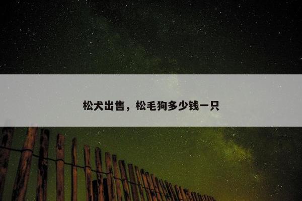 松犬出售，松毛狗多少钱一只