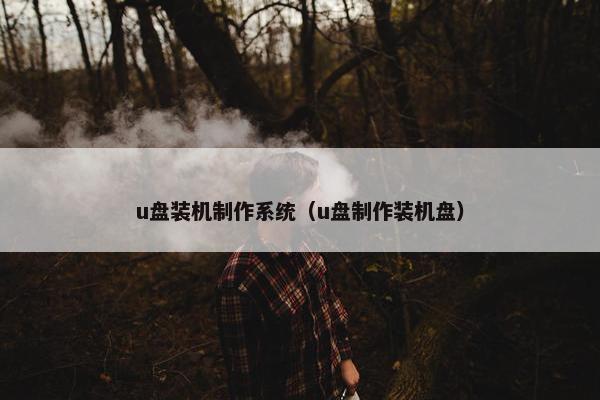 u盘装机制作系统（u盘制作装机盘）