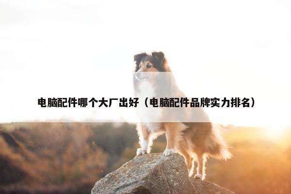 电脑配件哪个大厂出好（电脑配件品牌实力排名）