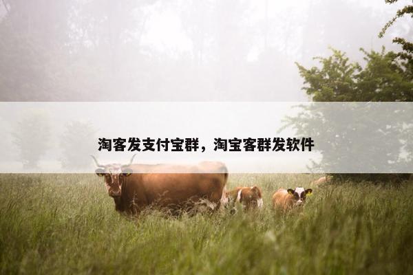 淘客发支付宝群,淘宝客群发软件