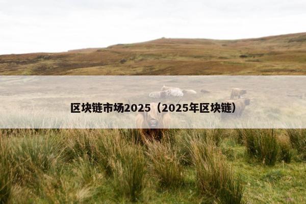 区块链市场2025(2025年区块链)