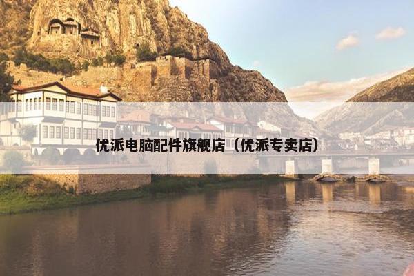 优派电脑配件旗舰店(优派专卖店)