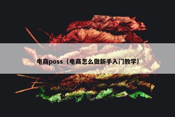 电商poss(电商怎么做新手入门教学) 电商poss(电商怎么做新手入门教学)