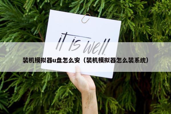 装机模拟器u盘怎么安（装机模拟器怎么装系统）