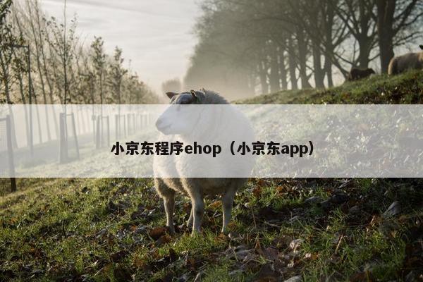 小京东程序ehop(小京东app)